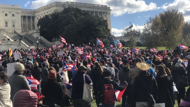 Demonstrators in Washington, D.C., for United March for Puerto Rico