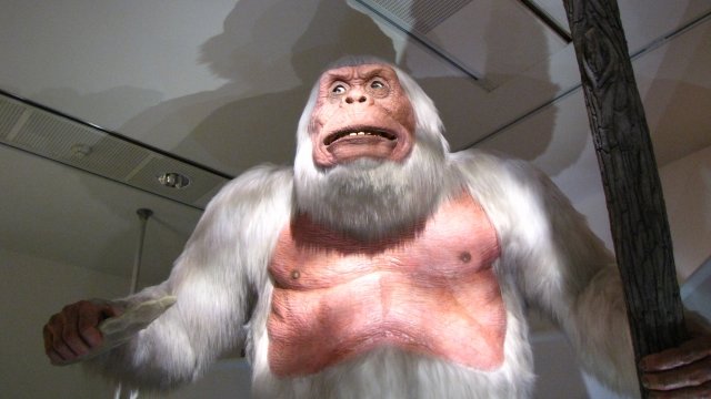 Model of what people claim the yeti looks like