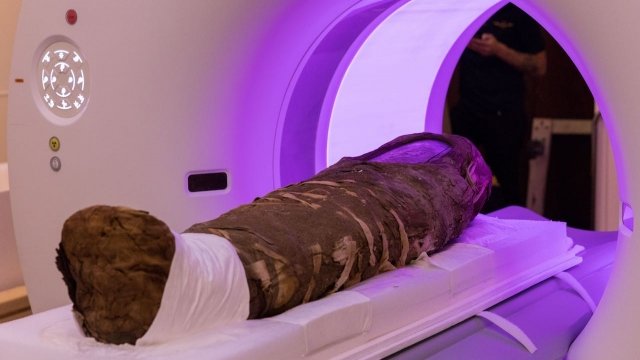 Mummy resting in an X-ray scanner