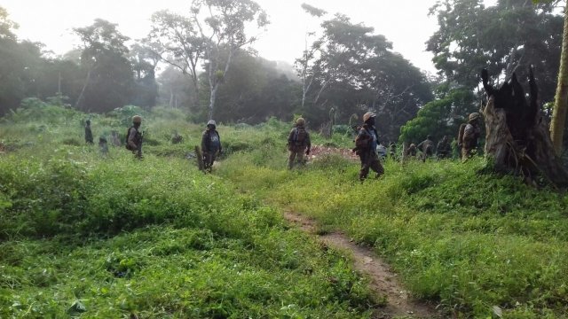Troops in North Kivu