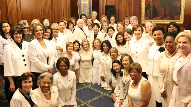 Members of the Democratic Women's Working Group.