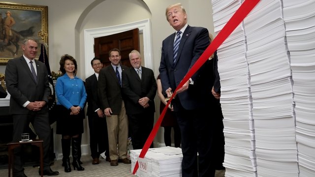 Trump cuts ribbon.