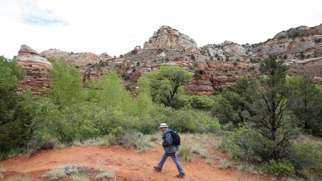 A hiker makes his way up a trail to Calf Creek in the Grand Staircase-Escalante National Monument.