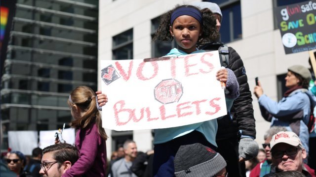 A young girl protests gun legislation