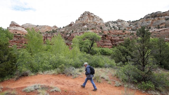 A hiker walks on a trail in the Grand Staircase-Escalante National Monument.