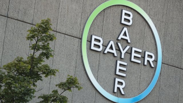 The logo of German pharmaceuticals and chemicals giant Bayer.