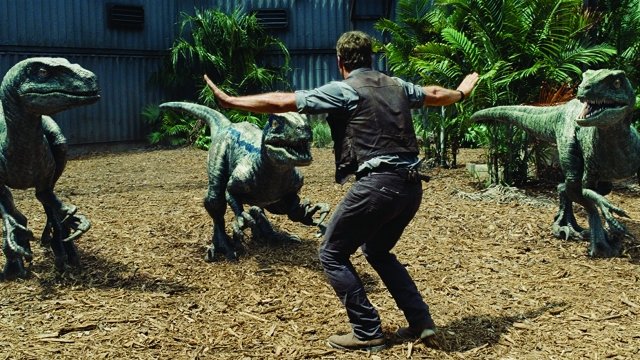 Owen Grady (Chris Pratt) staring down dinosaurs in "Jurassic World."