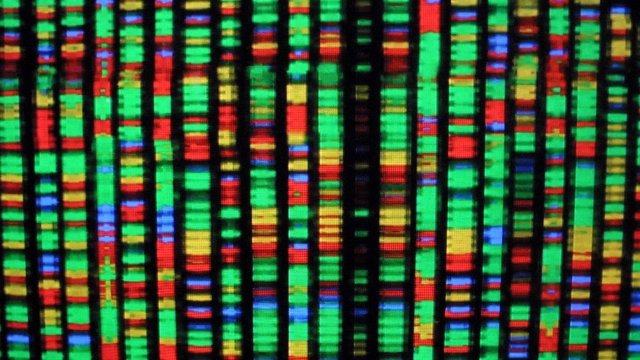 Digital image of human genome