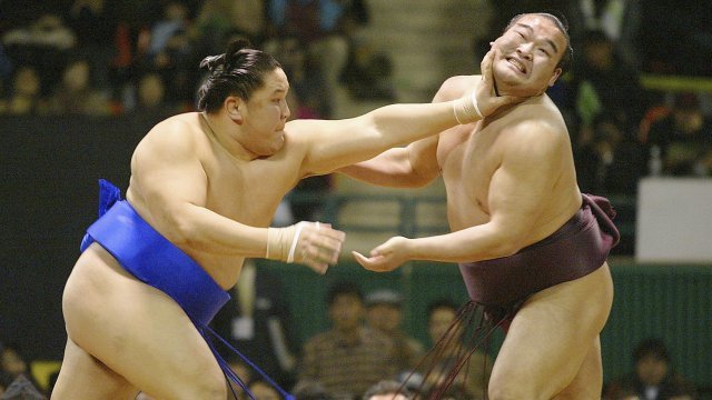 Professional sumo wrestlers