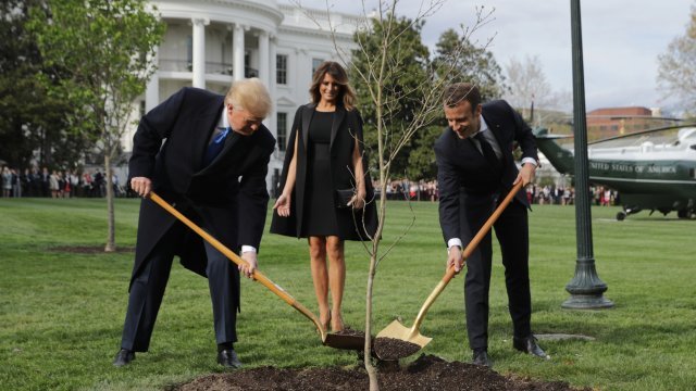 Donald Trump, Melania Trump and Emmanuel Macron participate in a tree-planting ceremony.
