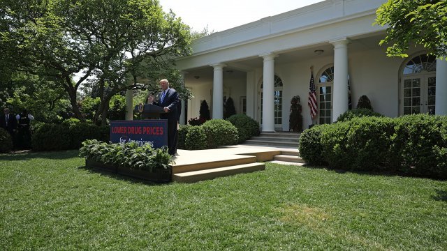 President Donald Trump in the Rose Garden
