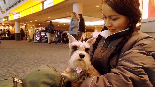 A woman with a dog at the airport