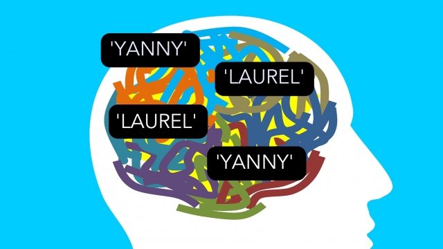 A cartoon brain with the words "Laurel" and "Yanny"