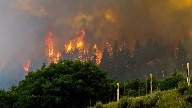 Fire in southwestern Colorado