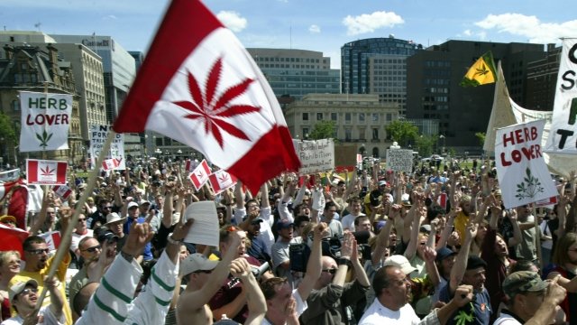 2004 rally in Ottawa to legalize marijuana