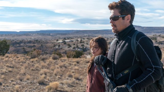 Benicio del Toro in "Sicario: Day of the Soldado"