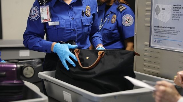 TSA agent checks a bag
