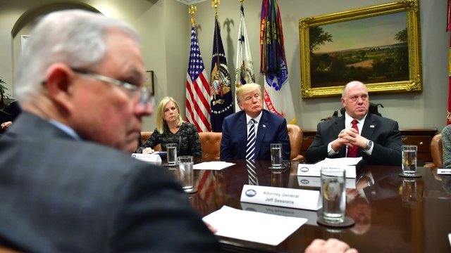 President Donald Trump leads a meeting