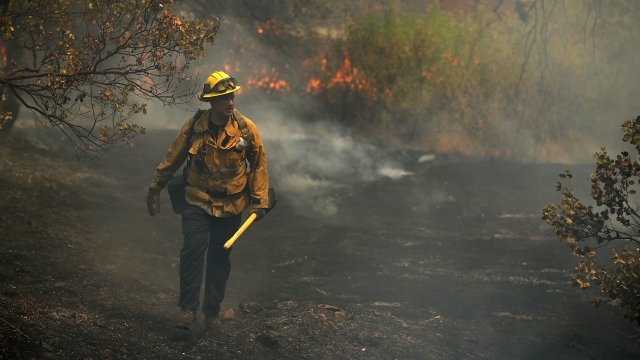 A Los Angeles city firefighter walks through a field burned by the Carr Fire