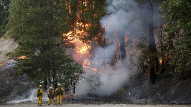 Firefighters battling the Carr Fire in northern California