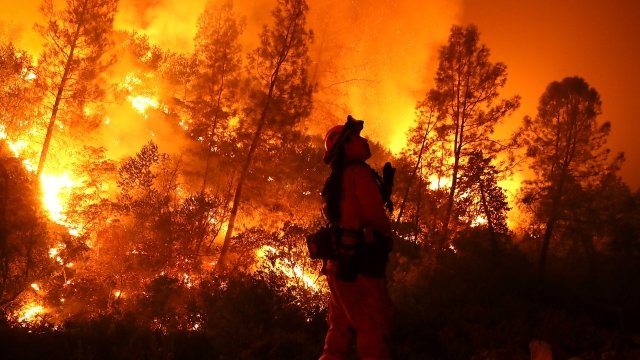 A firefighter battles the Mendocino Complex fire in California