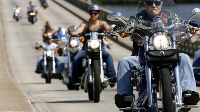 People ride Harley-Davidson motorcycles