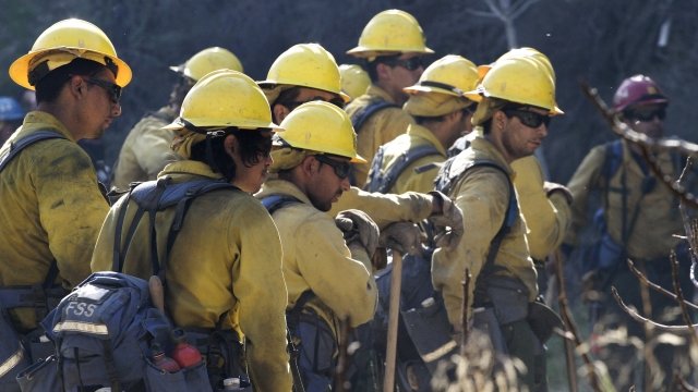 A group of firefighters stand in single file.