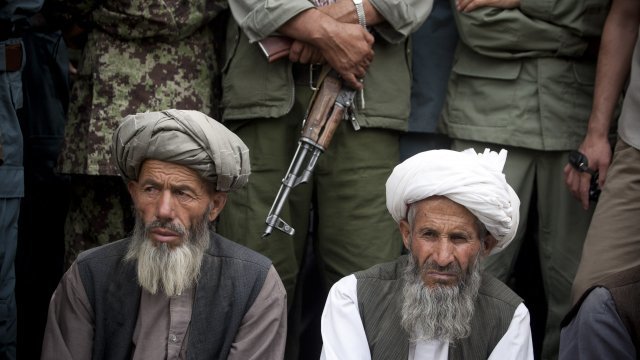 Members of the Taliban surrender themselves to the Afghan government