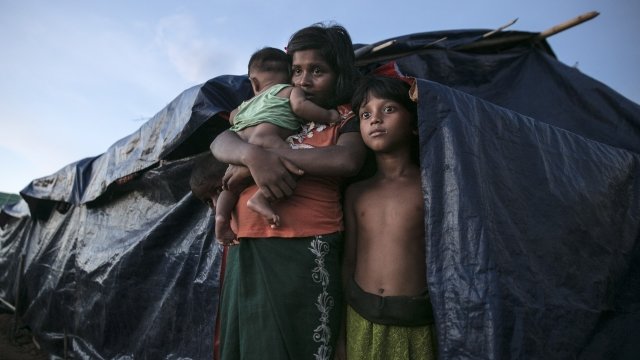 A picture of Rohingya refugees