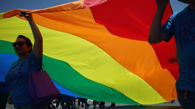 Marchers carry rainbow flag