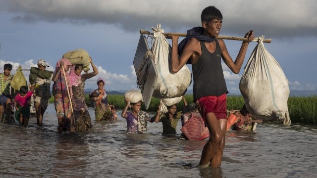 Rohingya refugees walking in muddy rice field