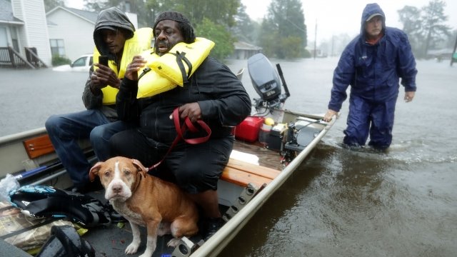 Two men and a dog are rescued from flood waters