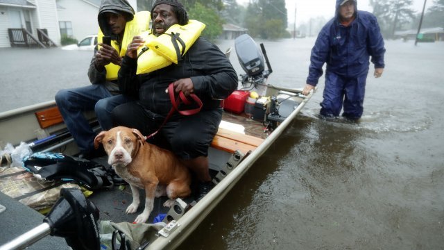 Volunteers across North Carolina are bringing residents and pets to safety.