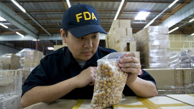 An FDA inspector examines food