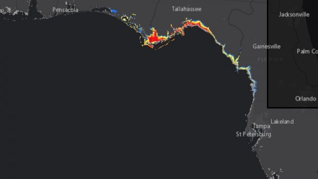 Flood risk areas on the Florida coast ahead of Hurricane Michael