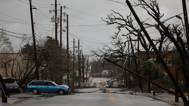 Downed powerlines are seen after Hurricane Michael passed through part of Florida