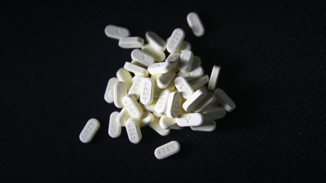 A pile of oxycodone pills