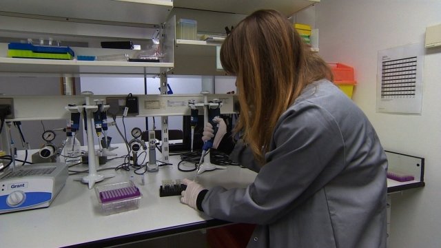 Technician tests DNA sample in science lab
