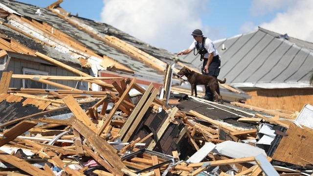 A search team helps with recovery efforts in Florida following Hurricane Michael