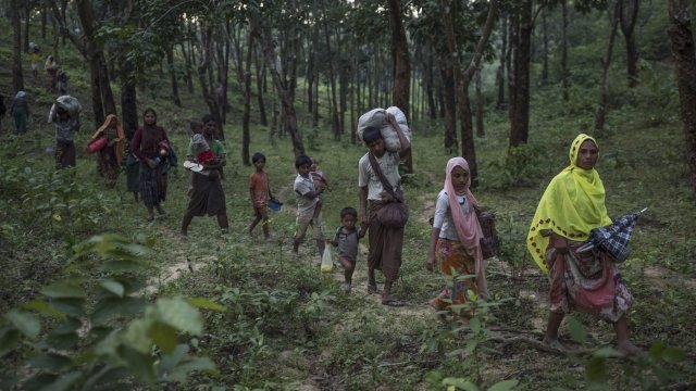 Rohingya walk through forest