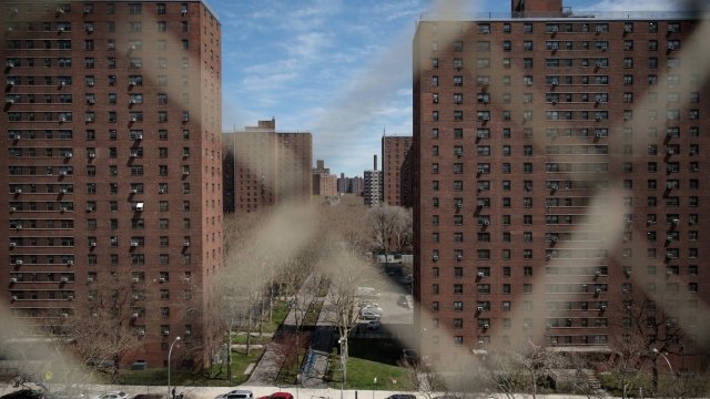 A public housing development maintained by the New York City Housing Authority