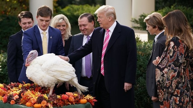 President Donald Trump pardons a turkey