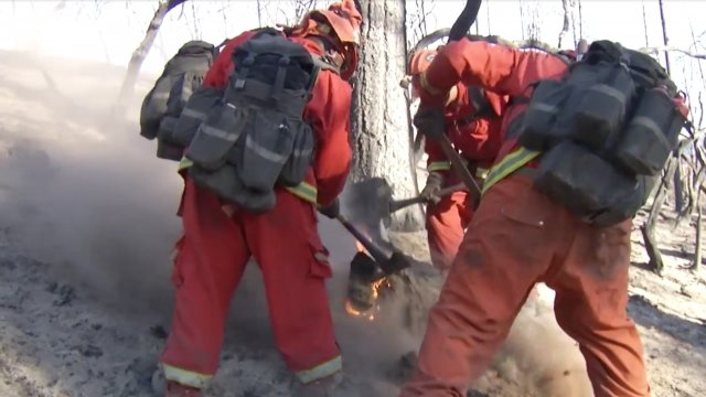 Inmate firefighters working on a wildfire