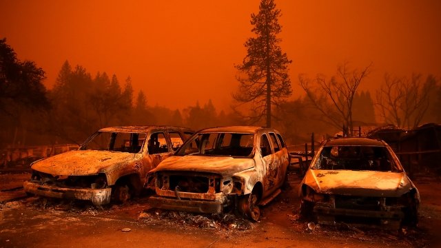 Three cars charred by the Camp Fire in Northern California sit in a row