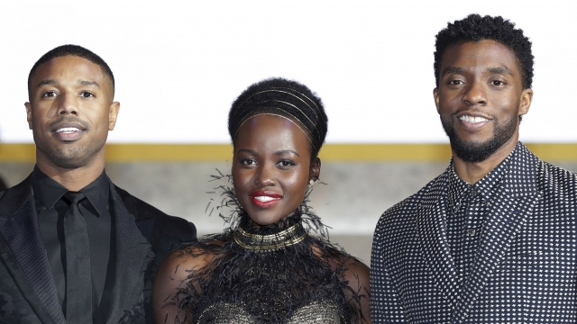 Stars of "Black Panther" on the red carpet at a premiere of the movie