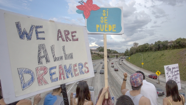 People hold signs over the 110 freeway in Los Angles as thousands of immigrants and supporters join the Defend DACA movement.