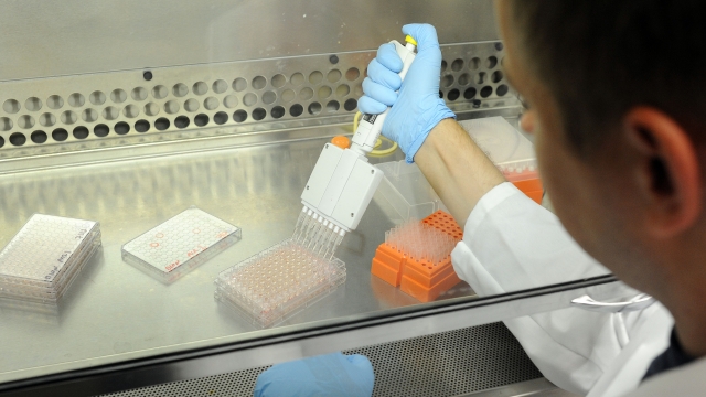 Genetic researcher in laboratory