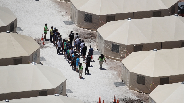 Migrant children in custody