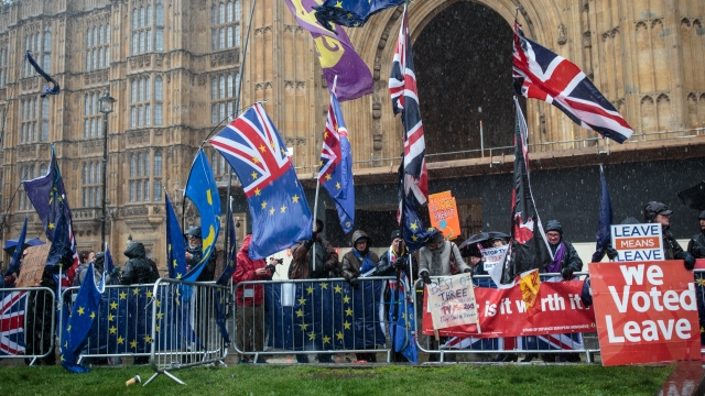 Brexit protesters