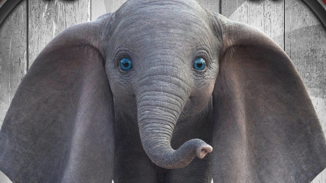 "Dumbo" remake film poster.